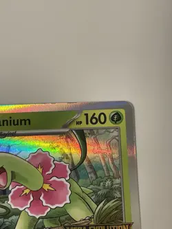Pokemon Meganium 001 Promo Mega Evolutions Prerelease Stamp 2025 NM - Image 3