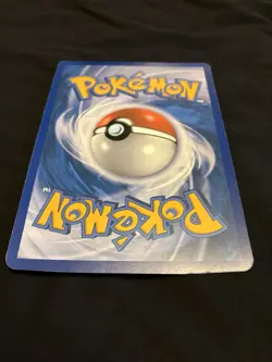Pokemon Jumbo Card Black and White Promo Zorua and Celebi - Image 5