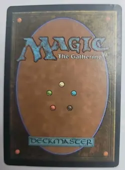 MTG Magic The Gathering Card Irrigation Ditch Land Invasion - Image 2