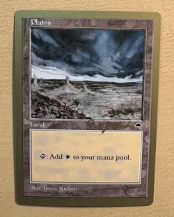 Plains 1998 Magic The Gathering World Championship Card Brian Hacker, NM-MT - Image 1