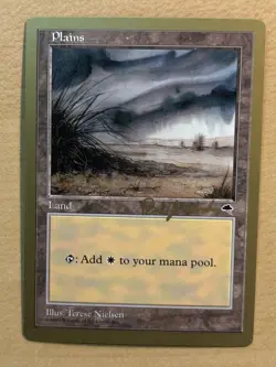 PLAINS 1998 Magic The Gathering World Championship Card Brian Hacker, NM-MT Land - Image 1