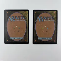 MTG Wort, Boggart Auntie Lorwyn X2 Magic The Gathering TCG Cards - Image 2