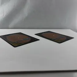 MTG Wort, Boggart Auntie Lorwyn X2 Magic The Gathering TCG Cards - Image 4