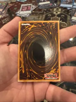 Yugioh! 1x Bramble Rose Dragon DOOD-EN039 Secret Rare 1st Ed NM - Image 2