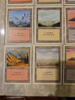 MTG REVISED COLLECTOR BASIC LAND SET NEVER PLAYED NM/M - Image 3