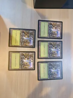 5x MTG Forest Mirage 293 Regular Land - Image 1
