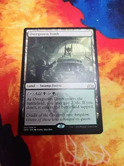 Overgrown Tomb - Guilds of Ravnica (GRN) - NM - Image 1