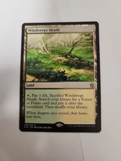 Windswept Heath Magic: The Gathering Khans Of Tarkir Normal LP - Image 1