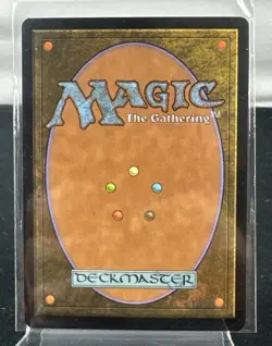 Magic The Gathering: Misty Rainforest Zendikar Regular - MR2 - Image 2