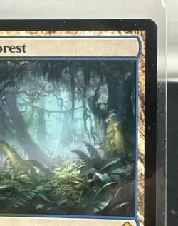 Magic The Gathering: Misty Rainforest Zendikar Regular - MR2 - Image 4