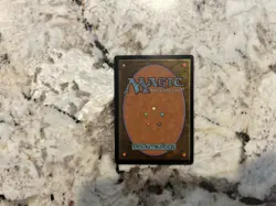 Hallowed Fountain Mtg - Magic the Gathering Hallowed Fountain HP - Image 2