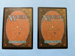 MTG Mixed Lot - City of Solitude and Wordly Tutor! 1996 Vintage Magic! - Image 2