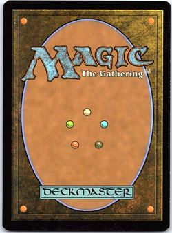 7x Foil Plains Lands LP MTG Wizards of The Coast PL1 260/259 263/280 B03/010 - Image 2