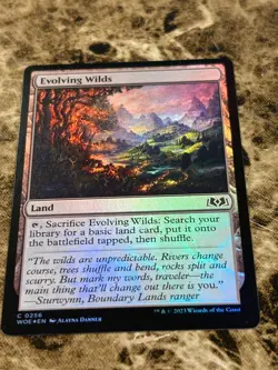 EVOLVING WILDS Magic MTG Wilds of Eldraine Foil - Image 1
