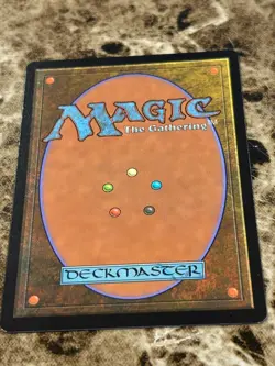EVOLVING WILDS Magic MTG Wilds of Eldraine Foil - Image 2