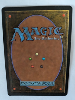 Koskun Falls Homelands MTG NM Free shipping with tracking - Image 2