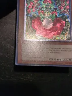 Yu-Gi-Oh! ULTIMATE RARE TYTANNIAL PRINCESS OF CAMELLIAS CSOC-EN029 NM/VLP - Image 5