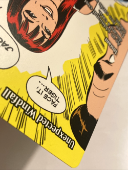 MTG Unexpected Windfall (Borderless) Marvel Universe Eternal-Legal 29 NM - Image 5