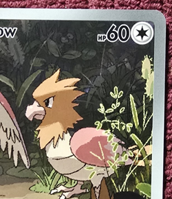 Spearow 151/132 - Illustration Rare - Pack Fresh Mint - Mega Evolution - Pokemon - Image 3