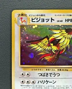 Pidgeot No. 018 Holo Rare Vintage pokemon card japanese Nintendo Game From Japan - Image 4