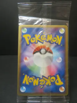 【Sealed】Poke park's Groudon 042/PCG-P Promo Japanese Pokemon Pokepark - Image 3