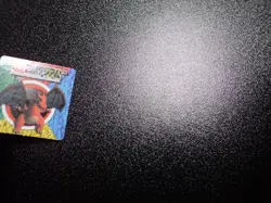 Pokemon Bros GB Pocket Mini Stadium Card Non Holo Charizard #5775 EX - Image 5