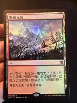 Wooded Foothills - MTG - 1x NM Traditional Chinese Foil - Khans of Tarkir KTK - Image 1