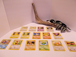 Pokemon Card Lot of 15 Cards Dodrio, Pidgey, Shuckle, Teddiursa - Lot #62 - Image 2