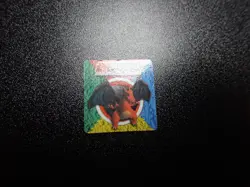 Pokemon Bros GB Pocket Mini Stadium Card Non Holo Charizard #5777 EX - Image 1