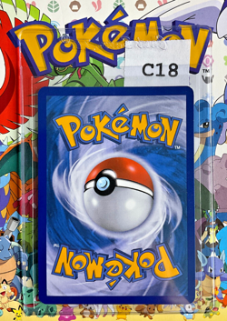 Chesnaught 14/146 | XY Base Reverse Holo Pokemon Card | NM (C18) - Image 3