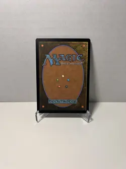 MTG TCG Marvel's Spider - Man Spectacular Spider - Man (Borderless) Rare # 14 NM - Image 2