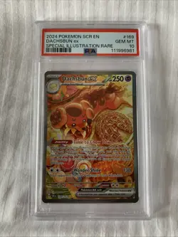 Pokemon TCG Stellar Crown Dachsbun EX 169/142 Special Illustration Rare PSA 10 - Image 1