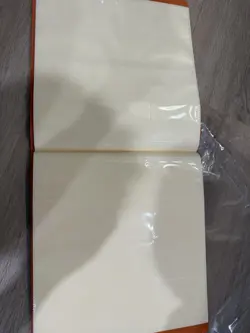 Pokemon S-Chinese Sealed Gift Box Flareon Eevee GX theme 480 slots Card Binder - Image 3