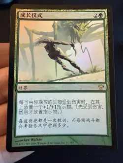 Rite Of Passage - MTG - 1x NM Simplified Chinese Foil - Fifth Dawn 5DN - Image 1