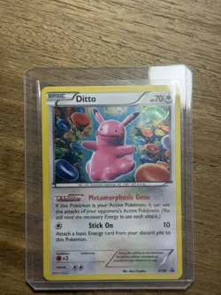 Pokemon Black Star Promo Ditto Holo XY40 - Image 1