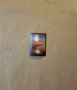 MTG Unsanctioned Full Art FOIL Basic Land X1 Plains (NM/M) - Image 1