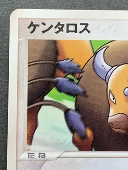 Pokemon card Tauros Pokepark 049/PCG-P PROMO 2005 Japanese Nintendo VERY RARE - Image 2