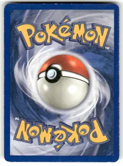 Raikou Non-Holo Rare 28/144 - 2003 Skyridge E-Series Rare Pokemon Card MP - Image 2