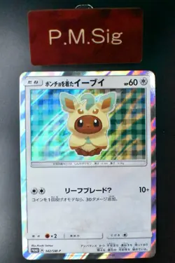 Poncho Wearing Eevee 142/SM-P Eevee Mega Campaign Promo 2017 Holo Pokemon Card - Image 1