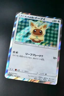 Poncho Wearing Eevee 142/SM-P Eevee Mega Campaign Promo 2017 Holo Pokemon Card - Image 3