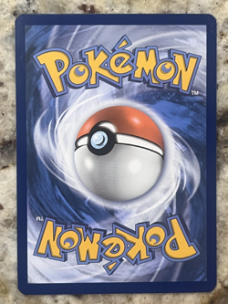 Pokemon Quaxly 206/193 Sv02: Paldea Evolved Holo TCG Illustration Rare IR NM - Image 2