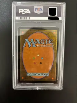 MTG City of Traitors PSA 8 NM-MT 1998 Exodus English #143 Vintage Land - Image 4