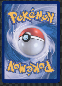 Wartortle AR Pokemon Card TCG 151 sv2a 171/165 Korean NM Scarlet & violet - Image 2