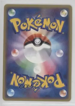 Zigzagoon Japanese Pokemon ADV Ruby & Sapphire #037 2003 - Image 1