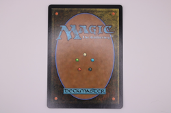 Mycosynth Lattice - The List Reprints (LIST) Regular - Image 4