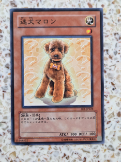 Yu-Gi-Oh! Cards Outstanding Dog Marron Japanese Normal - Image 1