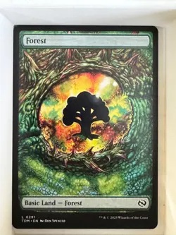 Forest (0291) Tarkir: Dragonstorm Regular - Image 1