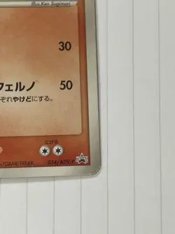 Charizard 054/ADV-P 2004 Japanese Pokemon Card Promo ADV Series Ken Sugimori - Image 4
