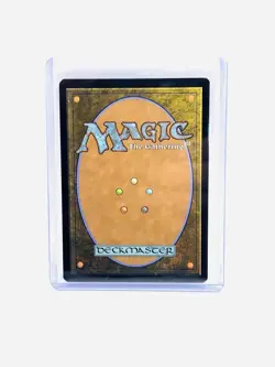 MTG, Evolving Wilds (Dungeon Module), Adventures in the Forgotten Realms, Foil - Image 2