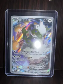 Pokemon TCG Tornadus SVP 210 SV: White Flare English ETB PROMO NM - Image 1
